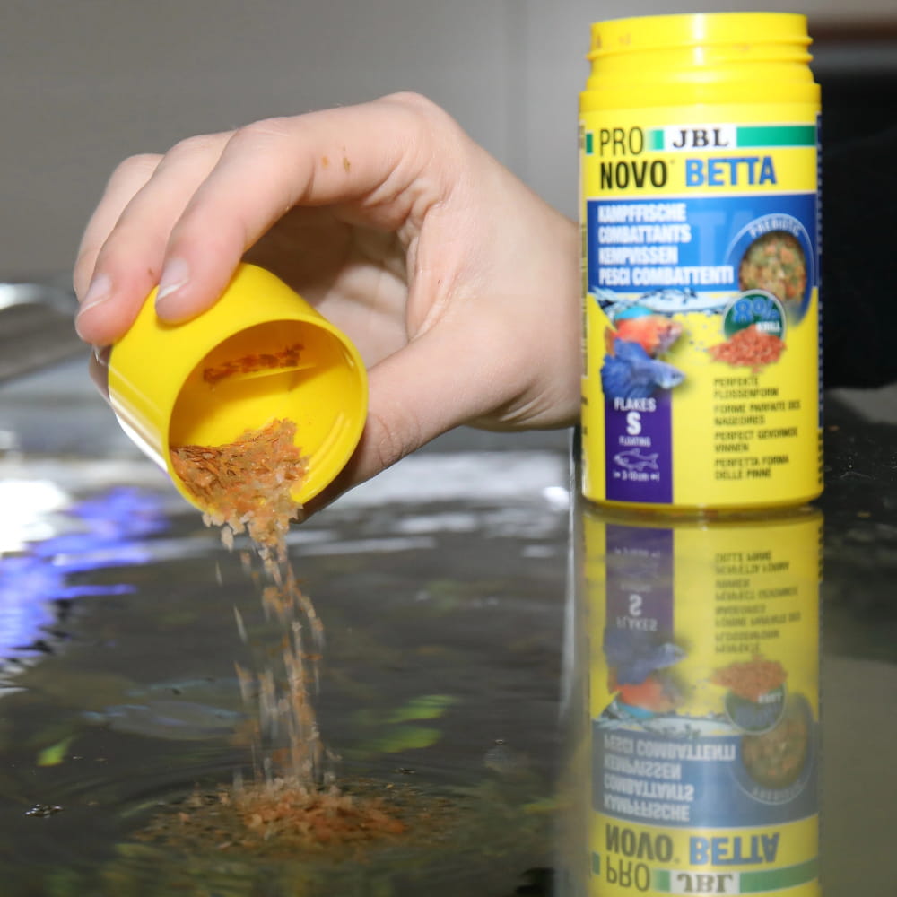 novo betta flakes2.jpg